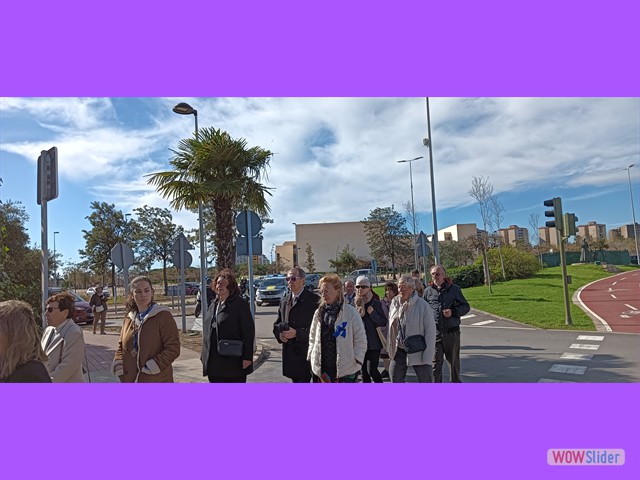 IMG20250309103915