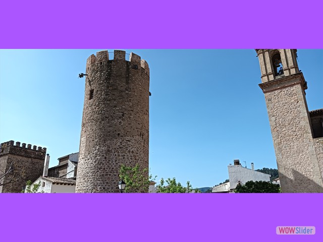 IMG20250501105151